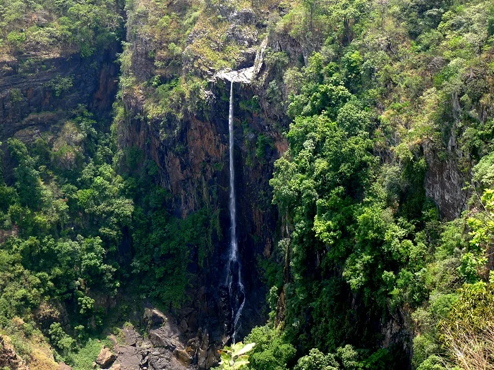 Shimlipal Forest